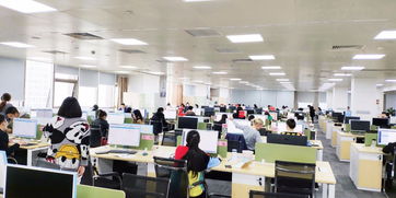 面試題 面試經(jīng)驗 面試流程 看準(zhǔn)網(wǎng)